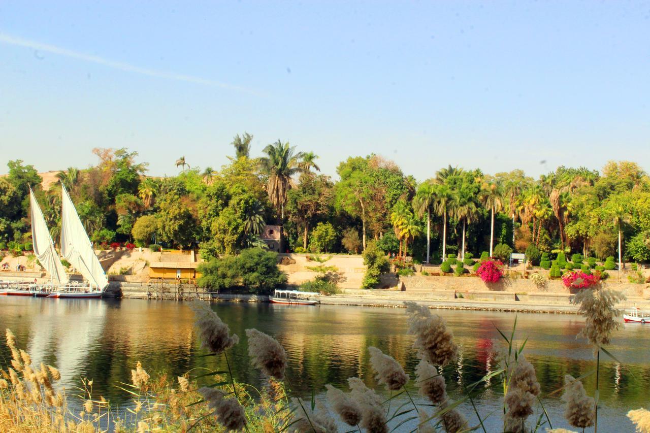 Hamo Guest House Aswan Buitenkant foto